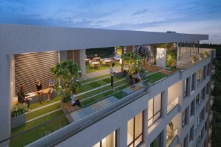 Amar-Oasis-Phone-Slider (1)